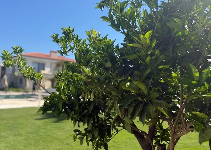 Mara Bahce Alacati アパート Çeşme