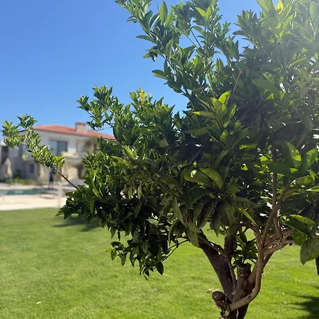 Mara Bahce Alacati Lejlighed Çeşme